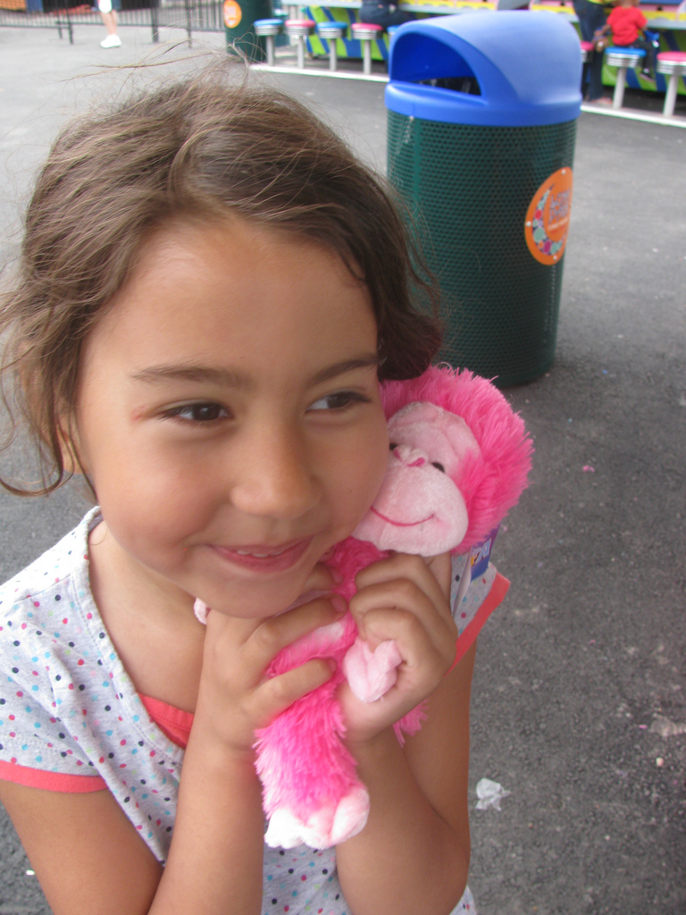 The Pink Gorilla at the Back of My Garden