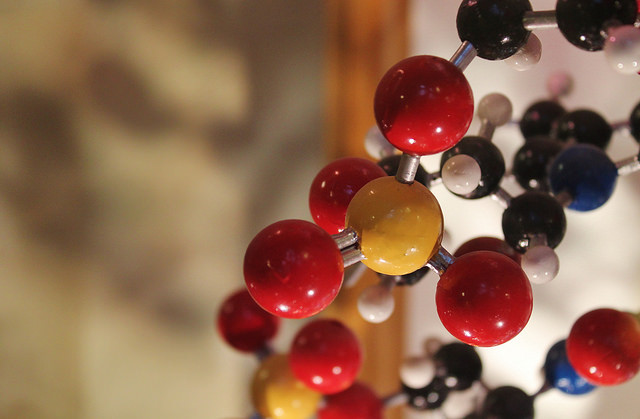 DNA Molecular Structure