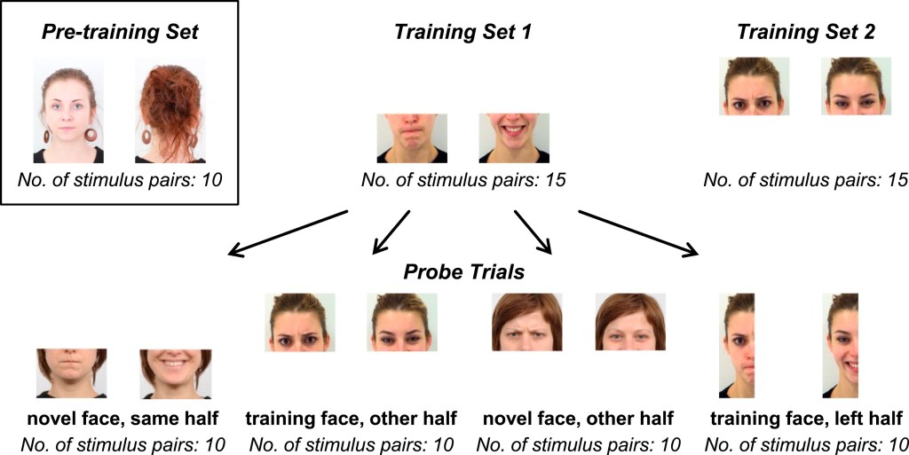 Dog EQ: emotional stimuli training
