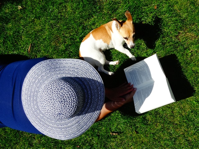Understanding Your Dog’s Behavior Could Save You So Much Money